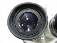 ニコン　実体顕微鏡