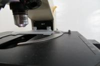 オリンパス システム生物顕微鏡　BHT